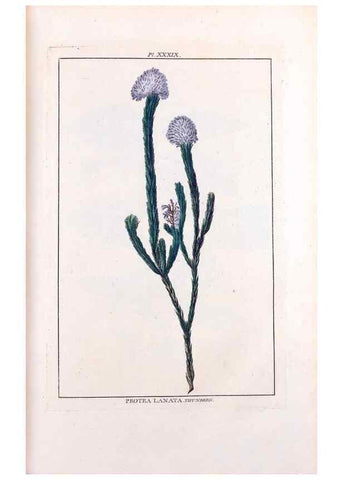 Reproducción/Reproduction 48975988512: Le grand jardin de l'univers,. Paris,Chez l'auteur,1785-1791.. 