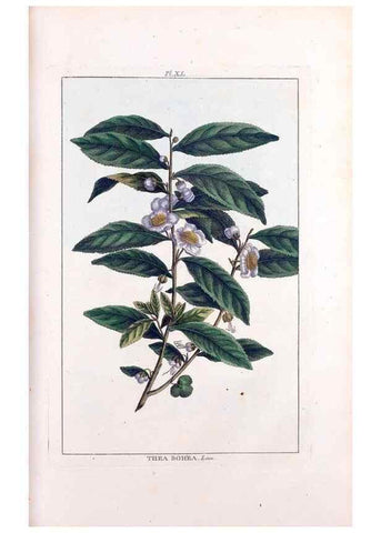 Reproducción/Reproduction 48975988972: Le grand jardin de l'univers,. Paris,Chez l'auteur,1785-1791.. 