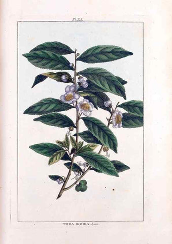 Reproducción/Reproduction 48975988972: Le grand jardin de l'univers,. Paris,Chez l'auteur,1785-1791.. 