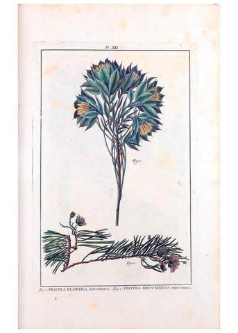 Reproducción/Reproduction 48975989427: Le grand jardin de l'univers,. Paris,Chez l'auteur,1785-1791.. 