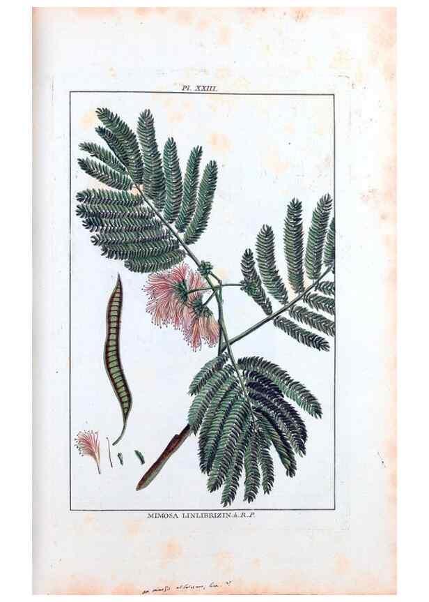 Reproducción/Reproduction 48975989967: Le grand jardin de l'univers,. Paris,Chez l'auteur,1785-1791.. 