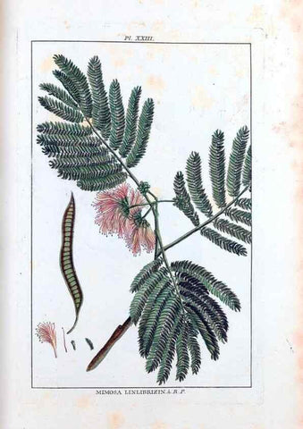 Reproducción/Reproduction 48975989967: Le grand jardin de l'univers,. Paris,Chez l'auteur,1785-1791.. 