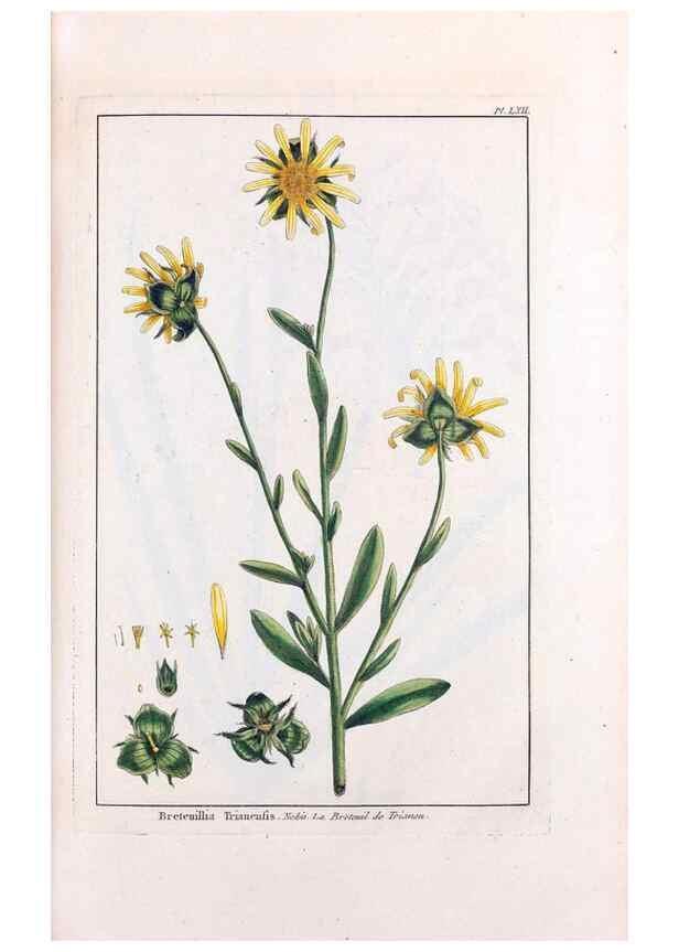 Reproducción/Reproduction 48975817791: Le grand jardin de l'univers,. Paris,Chez l'auteur,1785-1791.. 