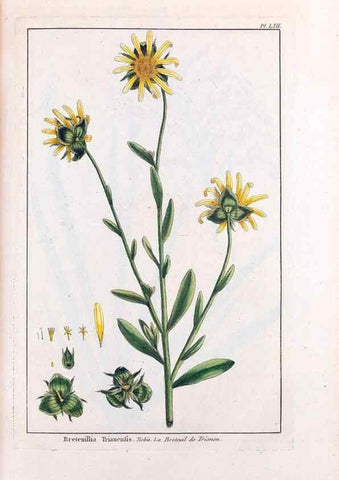 Reproducción/Reproduction 48975817791: Le grand jardin de l'univers,. Paris,Chez l'auteur,1785-1791.. 