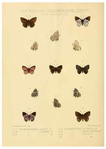 Reproducción/Reproduction 48954502311: Rhopalocera exotica. London :Gurney & Jackson,1887-1902.. 
