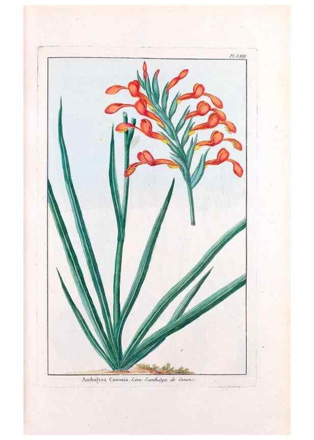 Reproducción/Reproduction 48975999072: Le grand jardin de l'univers,. Paris,Chez l'auteur,1785-1791.. 