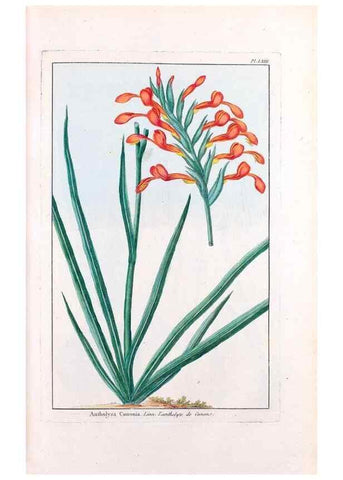 Reproducción/Reproduction 48975999072: Le grand jardin de l'univers,. Paris,Chez l'auteur,1785-1791.. 
