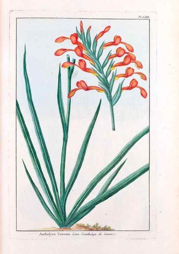 Reproducción/Reproduction 48975999072: Le grand jardin de l'univers,. Paris,Chez l'auteur,1785-1791.. 