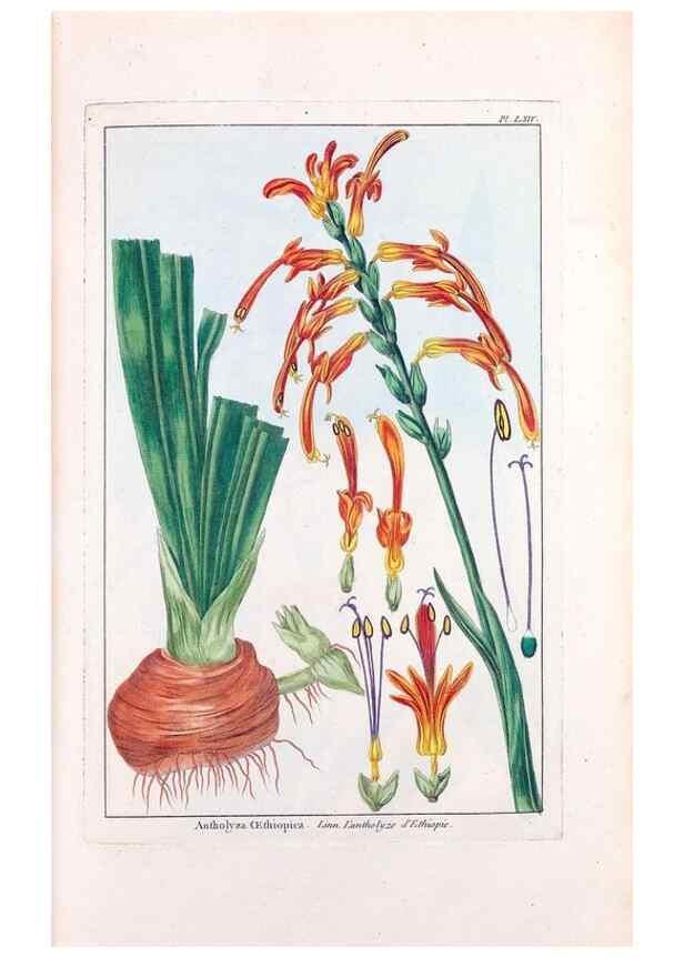 Reproducción/Reproduction 48975999582: Le grand jardin de l'univers,. Paris,Chez l'auteur,1785-1791.. 