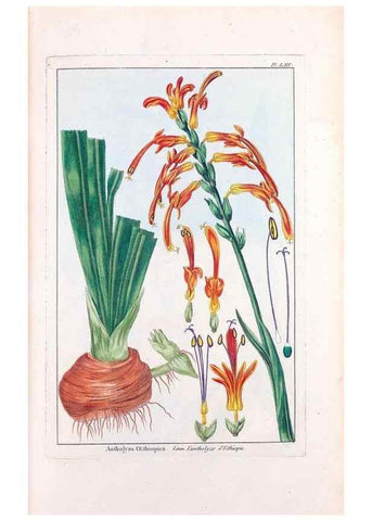 Reproducción/Reproduction 48975999582: Le grand jardin de l'univers,. Paris,Chez l'auteur,1785-1791.. 