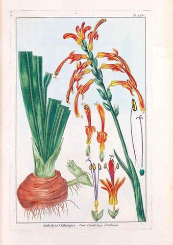 Reproducción/Reproduction 48975999582: Le grand jardin de l'univers,. Paris,Chez l'auteur,1785-1791.. 
