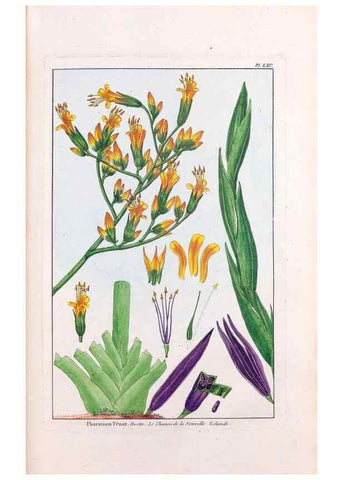 Reproducción/Reproduction 48976000007: Le grand jardin de l'univers,. Paris,Chez l'auteur,1785-1791.. 
