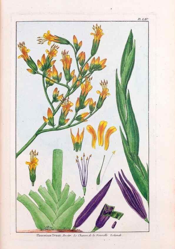 Reproducción/Reproduction 48976000007: Le grand jardin de l'univers,. Paris,Chez l'auteur,1785-1791.. 