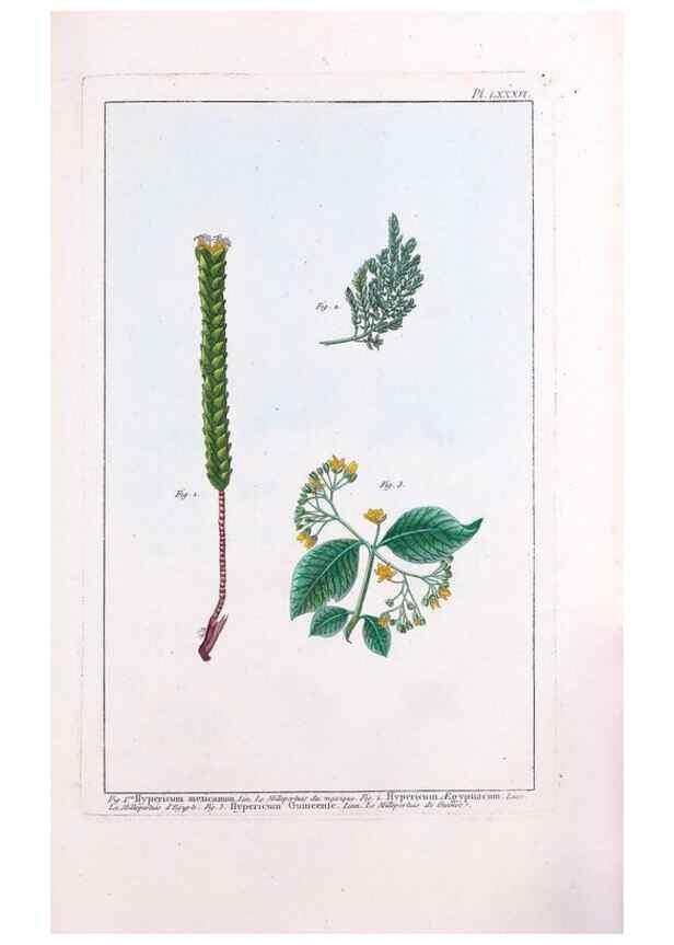Reproducción/Reproduction 48975284183: Le grand jardin de l'univers,. Paris,Chez l'auteur,1785-1791.. 