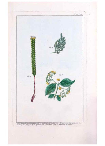 Reproducción/Reproduction 48975284183: Le grand jardin de l'univers,. Paris,Chez l'auteur,1785-1791.. 