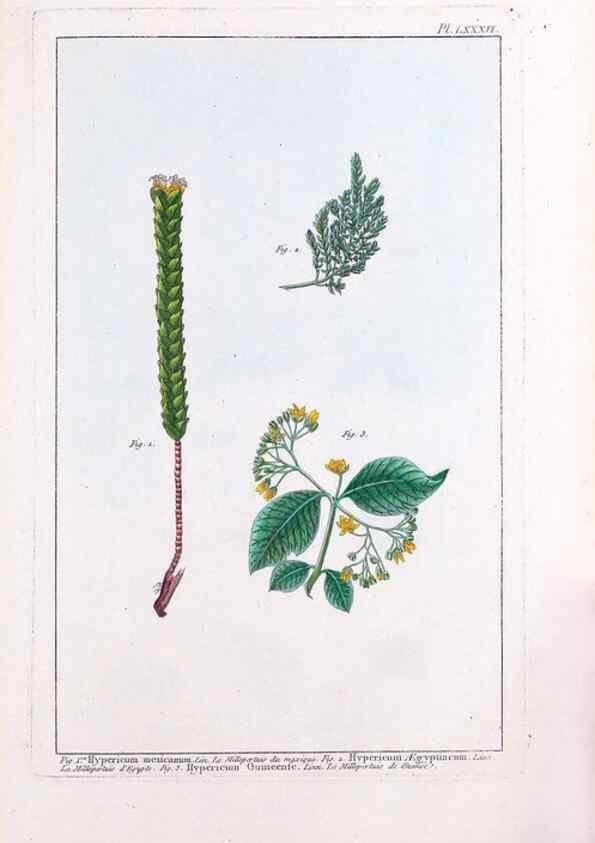 Reproducción/Reproduction 48975284183: Le grand jardin de l'univers,. Paris,Chez l'auteur,1785-1791.. 