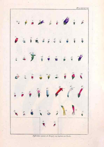 Reproducción/Reproduction 48975285093: Le grand jardin de l'univers,. Paris,Chez l'auteur,1785-1791.. 
