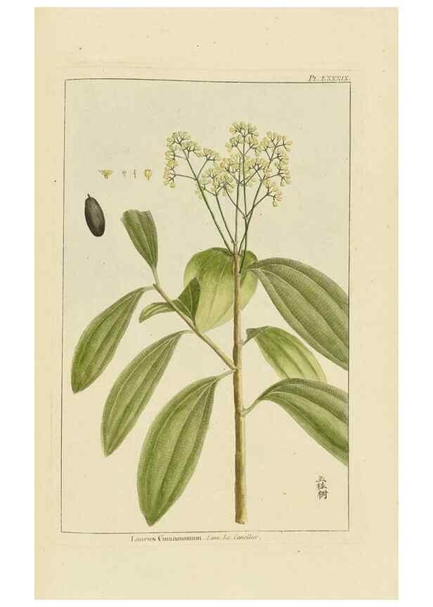 Reproducción/Reproduction 48976016112: Le grand jardin de l'univers,. Paris,Chez l'auteur,1785-1791.. 