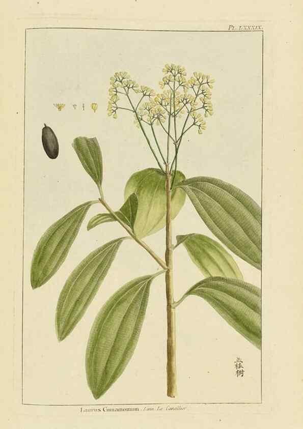 Reproducción/Reproduction 48976016112: Le grand jardin de l'univers,. Paris,Chez l'auteur,1785-1791.. 