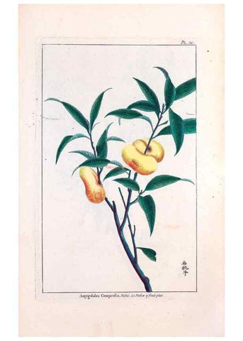 Reproducción/Reproduction 48975835826: Le grand jardin de l'univers,. Paris,Chez l'auteur,1785-1791.. 