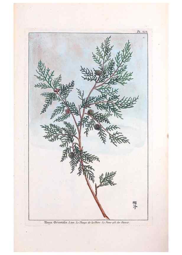 Reproducción/Reproduction 48975286453: Le grand jardin de l'univers,. Paris,Chez l'auteur,1785-1791.. 