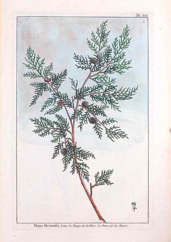 Reproducción/Reproduction 48975286453: Le grand jardin de l'univers,. Paris,Chez l'auteur,1785-1791.. 