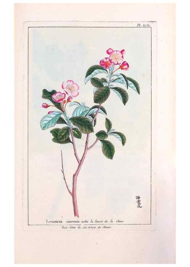 Reproducción/Reproduction 48975286948: Le grand jardin de l'univers,. Paris,Chez l'auteur,1785-1791.. 
