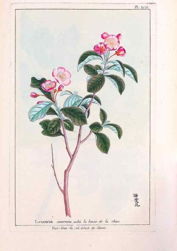 Reproducción/Reproduction 48975286948: Le grand jardin de l'univers,. Paris,Chez l'auteur,1785-1791.. 