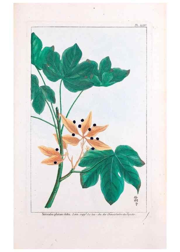 Reproducción/Reproduction 48975287323: Le grand jardin de l'univers,. Paris,Chez l'auteur,1785-1791.. 