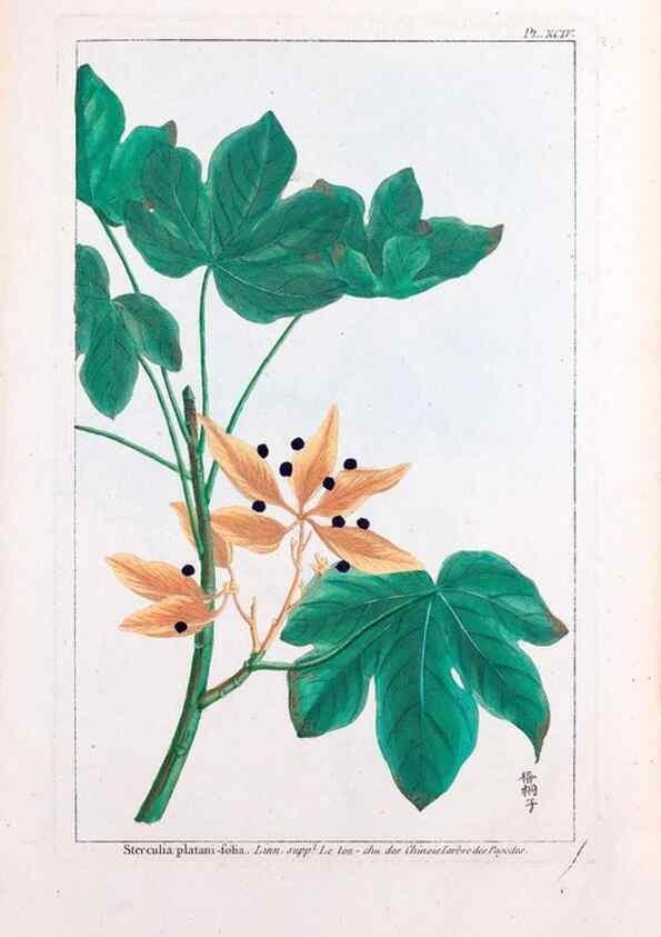 Reproducción/Reproduction 48975287323: Le grand jardin de l'univers,. Paris,Chez l'auteur,1785-1791.. 