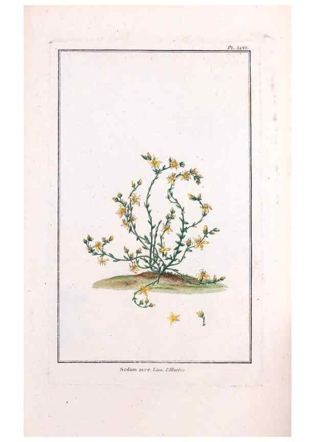 Reproducción/Reproduction 48975837661: Le grand jardin de l'univers,. Paris,Chez l'auteur,1785-1791.. 