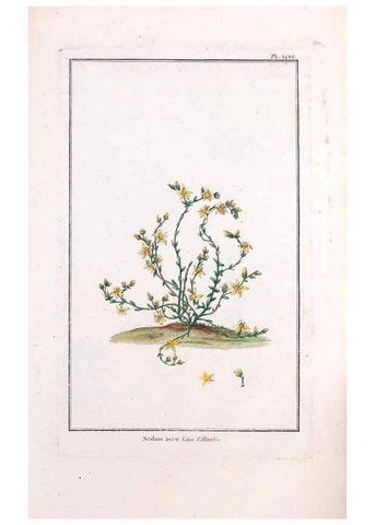 Reproducción/Reproduction 48975837661: Le grand jardin de l'univers,. Paris,Chez l'auteur,1785-1791.. 