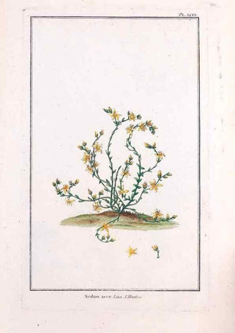 Reproducción/Reproduction 48975837661: Le grand jardin de l'univers,. Paris,Chez l'auteur,1785-1791.. 