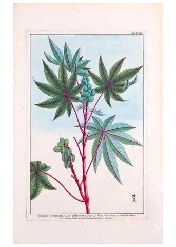 Reproducción/Reproduction 48975288403: Le grand jardin de l'univers,. Paris,Chez l'auteur,1785-1791.. 