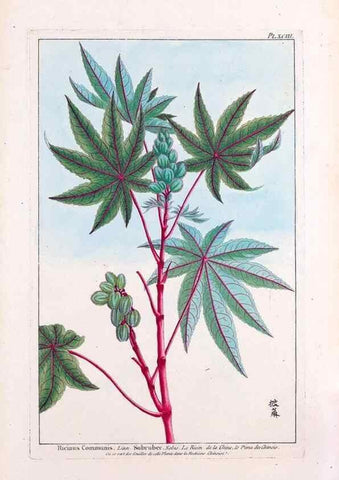 Reproducción/Reproduction 48975288403: Le grand jardin de l'univers,. Paris,Chez l'auteur,1785-1791.. 