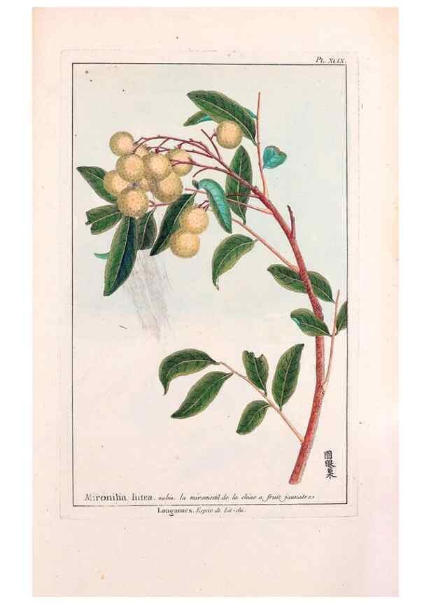 Reproducción/Reproduction 48975289258: Le grand jardin de l'univers,. Paris,Chez l'auteur,1785-1791.. 