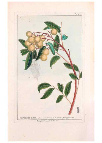Reproducción/Reproduction 48975289258: Le grand jardin de l'univers,. Paris,Chez l'auteur,1785-1791.. 