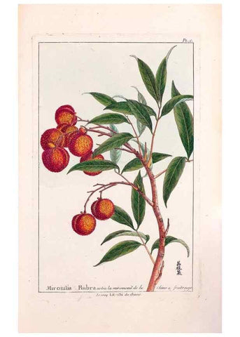 Reproducción/Reproduction 48976020207: Le grand jardin de l'univers,. Paris,Chez l'auteur,1785-1791.. 