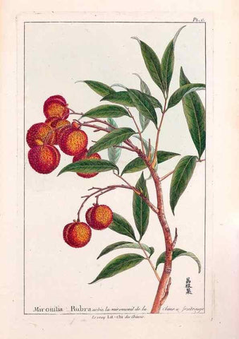 Reproducción/Reproduction 48976020207: Le grand jardin de l'univers,. Paris,Chez l'auteur,1785-1791.. 