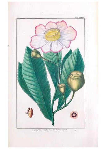 Reproducción/Reproduction 48975833216: Le grand jardin de l'univers,. Paris,Chez l'auteur,1785-1791.. 