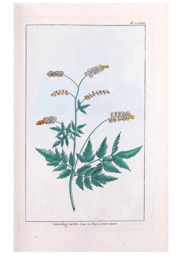 Reproducción/Reproduction 48975832751: Le grand jardin de l'univers,. Paris,Chez l'auteur,1785-1791.. 