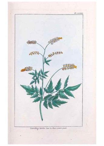 Reproducción/Reproduction 48975832751: Le grand jardin de l'univers,. Paris,Chez l'auteur,1785-1791.. 