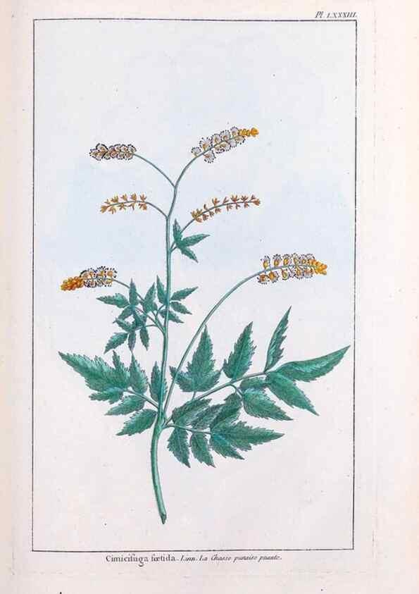 Reproducción/Reproduction 48975832751: Le grand jardin de l'univers,. Paris,Chez l'auteur,1785-1791.. 