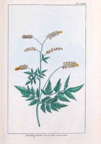 Reproducción/Reproduction 48975832751: Le grand jardin de l'univers,. Paris,Chez l'auteur,1785-1791.. 
