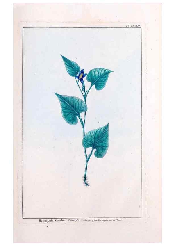 Reproducción/Reproduction 48976013117: Le grand jardin de l'univers,. Paris,Chez l'auteur,1785-1791.. 