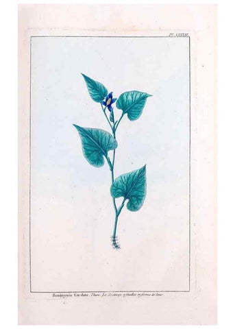 Reproducción/Reproduction 48976013117: Le grand jardin de l'univers,. Paris,Chez l'auteur,1785-1791.. 