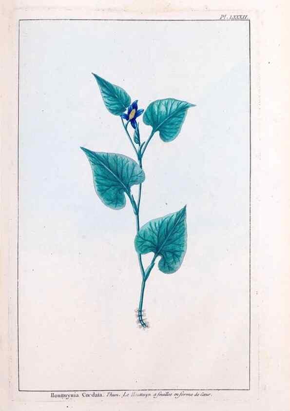 Reproducción/Reproduction 48976013117: Le grand jardin de l'univers,. Paris,Chez l'auteur,1785-1791.. 