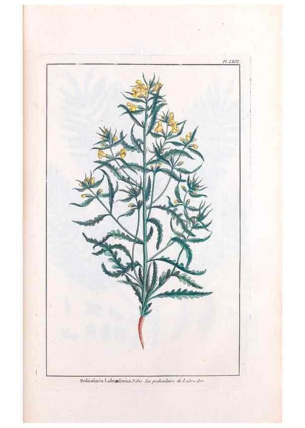 Reproducción/Reproduction 48976006142: Le grand jardin de l'univers,. Paris,Chez l'auteur,1785-1791.. 