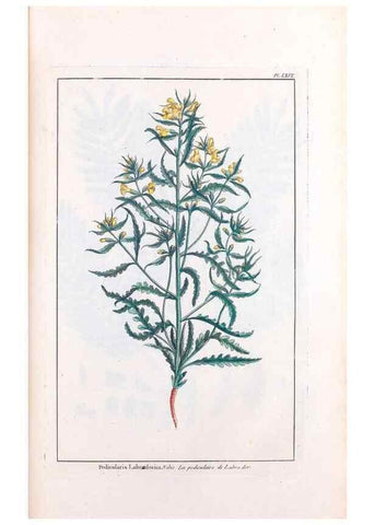 Reproducción/Reproduction 48976006142: Le grand jardin de l'univers,. Paris,Chez l'auteur,1785-1791.. 