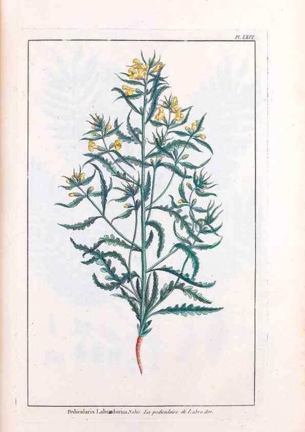 Reproducción/Reproduction 48976006142: Le grand jardin de l'univers,. Paris,Chez l'auteur,1785-1791.. 
